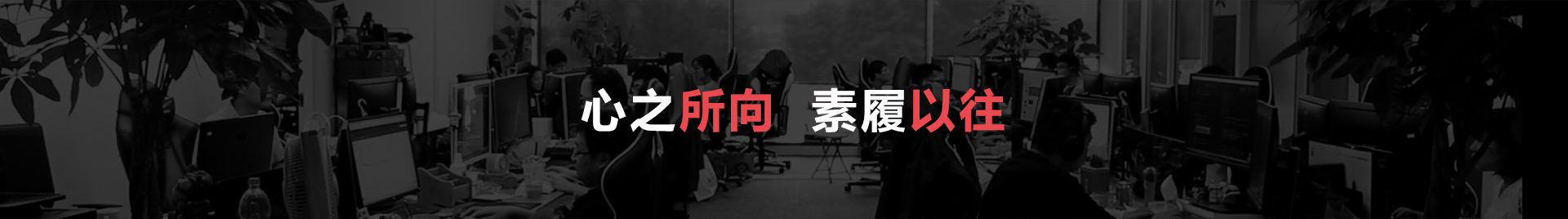 心光流美banner